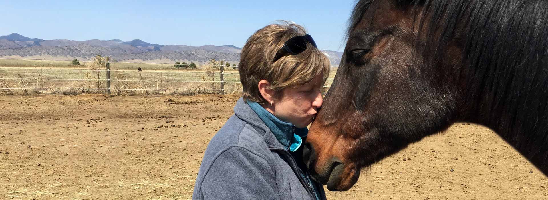 Picture of animal communication sessions with Terri and a horse